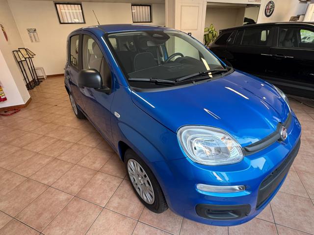 Fiat Pandina Pop - foto 2 di 4