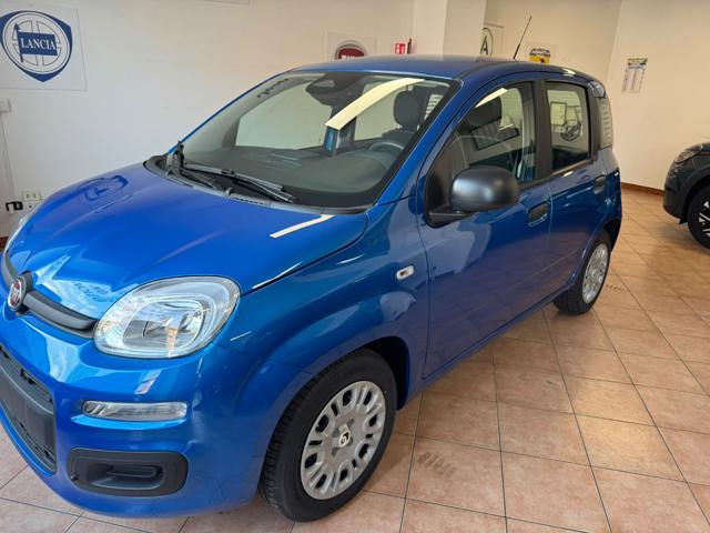 Fiat Pandina Pop - foto 3 di 4