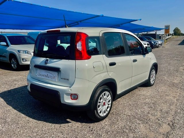 Fiat Panda 1.0 FireFly S&S Hybrid SOLO 21000 KM - foto 4 di 4