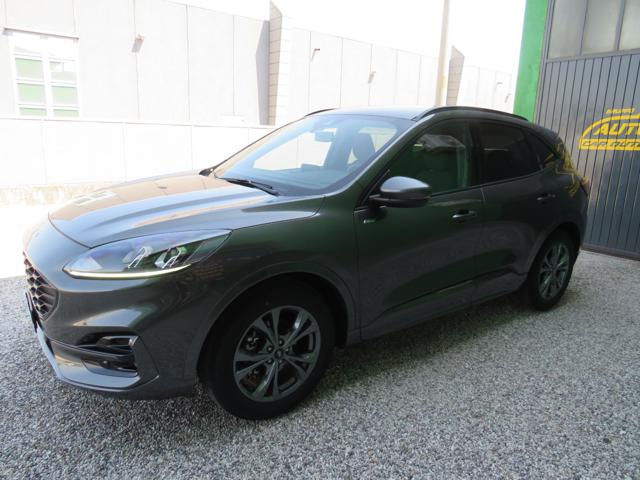 Ford Kuga 2.5 Full Hybrid 190 CV CVT 2WD ST-Line X usato a BADIA POLESINE