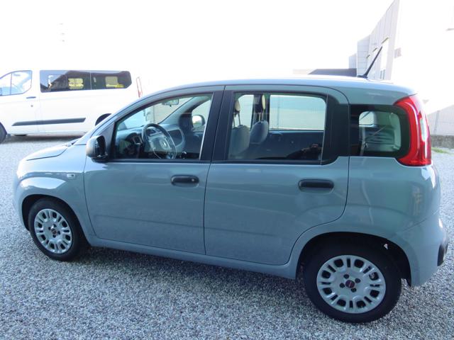 Fiat Panda 1.0 FireFly S&S Hybrid - foto 2 di 4