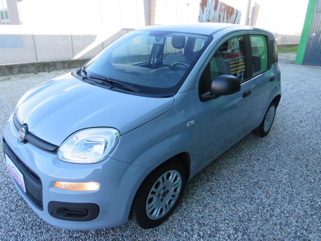 Fiat Panda 1.0 FireFly S&S Hybrid usato a BADIA POLESINE