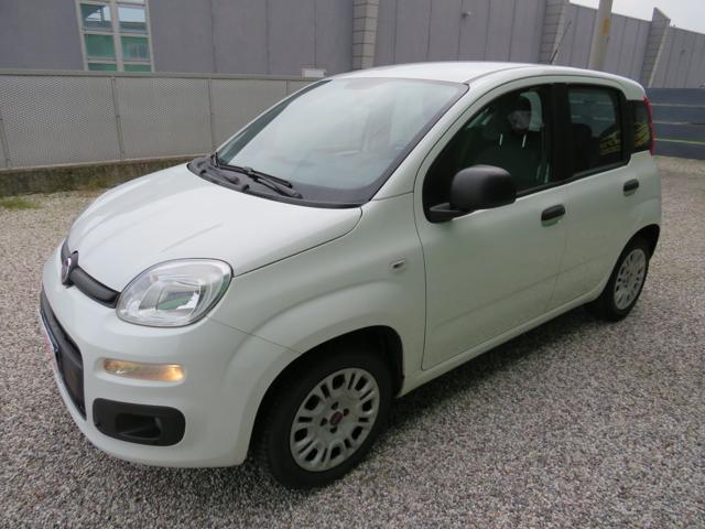 Fiat Panda 1.2 Easy S&S 1200 C.C. usato a BADIA POLESINE