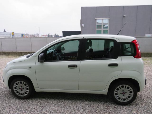 Fiat Panda 1.2 Easy S&S 1200 C.C. - foto 2 di 4