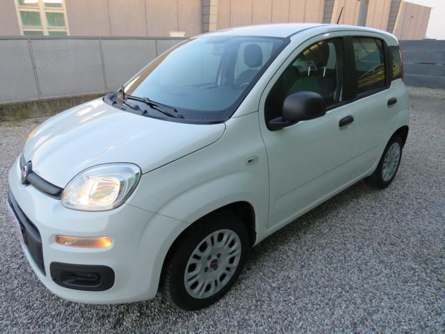 Fiat Panda 1.2 Easy S&S 1200 C.C. usato a BADIA POLESINE