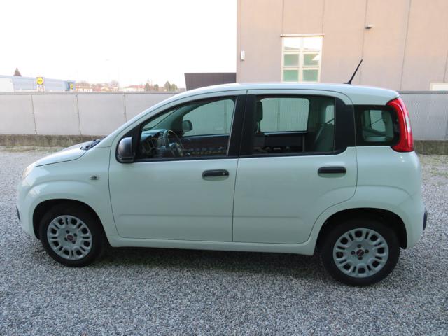 Fiat Panda 1.2 Easy S&S 1200 C.C. - foto 2 di 4