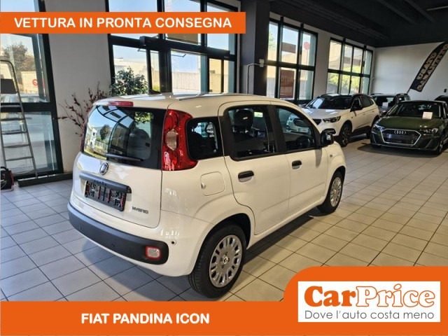 Fiat Pandina 1.0 FireFly 65CV Hybrid Icon (5 Posti) - foto 3 di 4