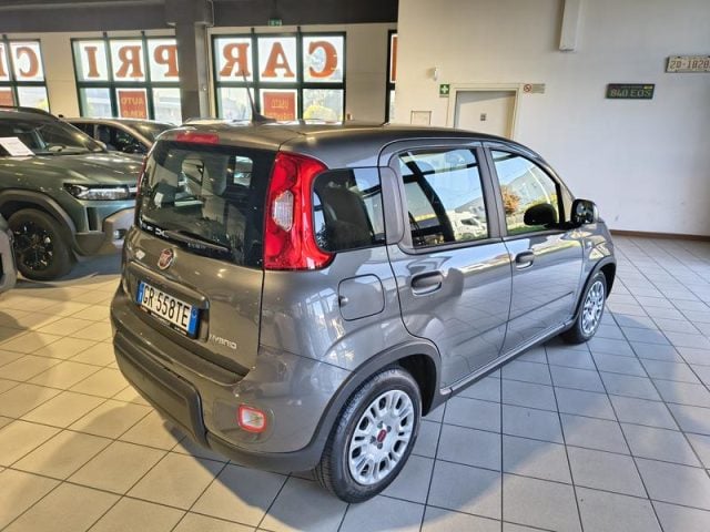Fiat Panda 1.0 Hybrid City Life NEOPATENTATI - foto 3 di 4