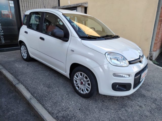 Fiat Panda 1.2 pop 4 CILINDRI-EURO6B-PREZZO REALE-NEOPAT. usato a BAREGGIO