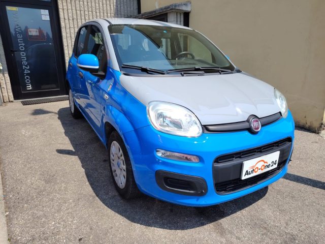 Fiat Panda 1.2 Pandazzurri UNICA-PREZZO REALE-FINANZIABILE - foto 3 di 4