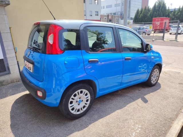 Fiat Panda 1.2 Pandazzurri UNICA-PREZZO REALE-FINANZIABILE - foto 4 di 4