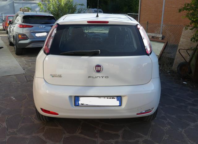 Fiat Punto 1.4 8V 5 porte Natural Power - foto 4 di 4