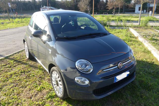 Fiat 500 1.0 Hybrid Cult usato a TORINO
