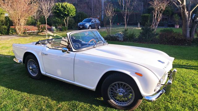 Triumph TR4 Spyder usato a TORINO