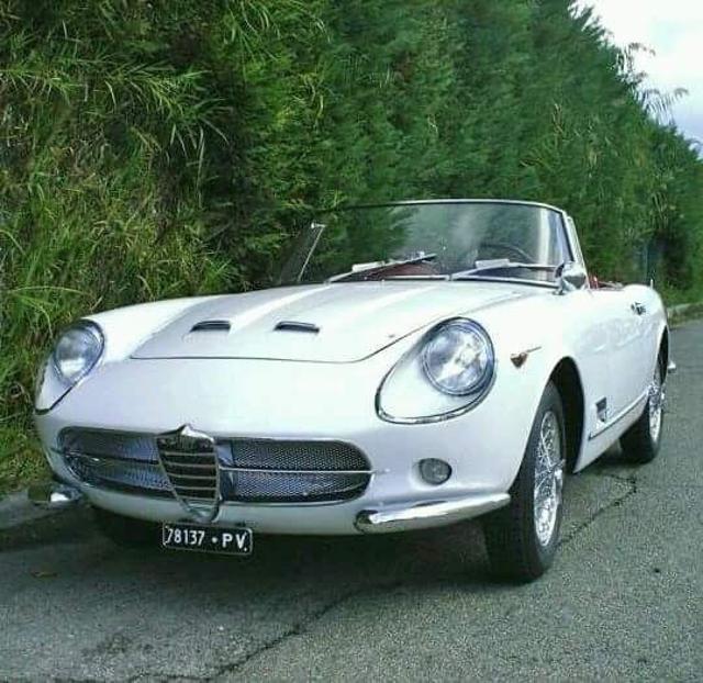 Alfa Romeo Other Touring 2000 Spider Speciale Segale, del 1961, 65.000 km, in vendita a Torino (TO)