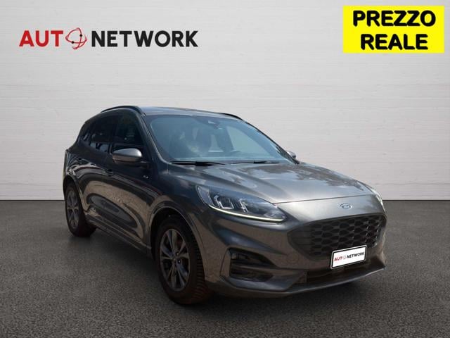 Ford Kuga 2.0 EcoBlue 120 CV aut. 2WD ST-Line usato a IMOLA
