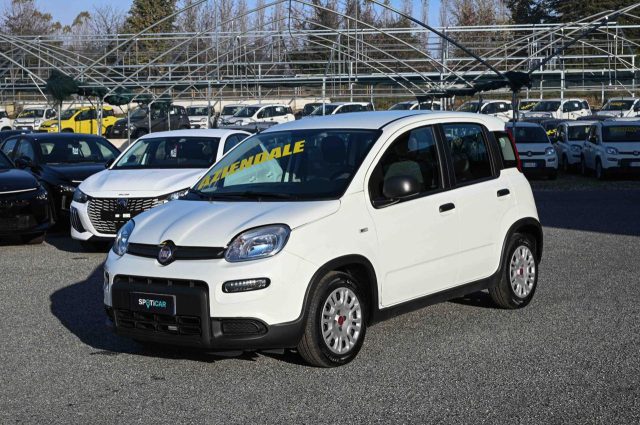 Fiat Panda 1.0 FireFly S&S Hybrid 70cv 5P.TI usato a PIANEZZA