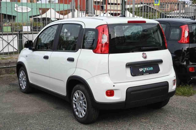Fiat Panda 1.0 FireFly S&S Hybrid - foto 4 di 4