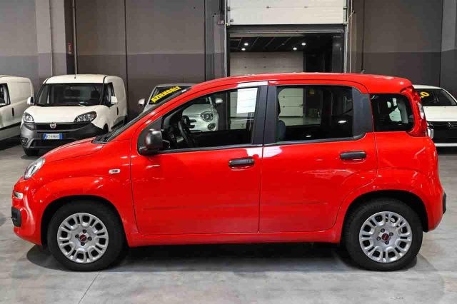 Fiat Panda 1.0 FireFly S&S Hybrid Easy - foto 4 di 4