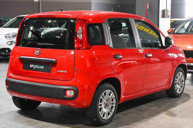 Fiat Panda 1.0 FireFly S&S Hybrid Easy - foto 3 di 4