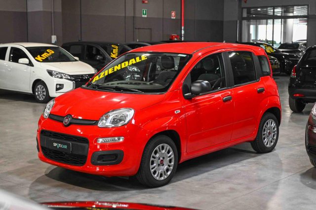 Fiat Panda 1.0 FireFly S&S Hybrid Easy usato a PIANEZZA