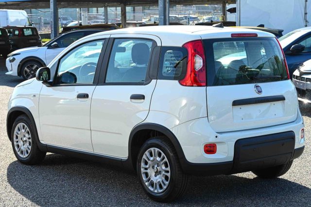 Fiat Panda 1.0 FireFly S&S Hybrid Pandina - foto 4 di 4
