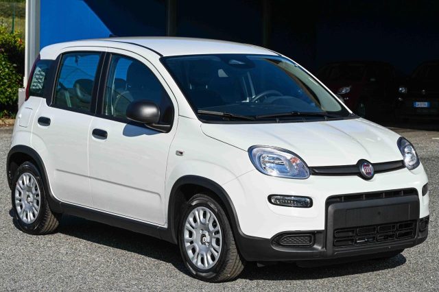 Fiat Panda 1.0 FireFly S&S Hybrid Pandina - foto 2 di 4