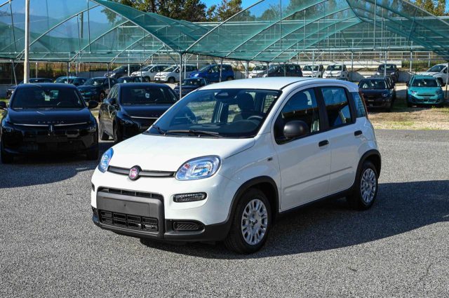 Fiat Panda 1.0 FireFly S&S Hybrid Pandina km 0 a PIANEZZA