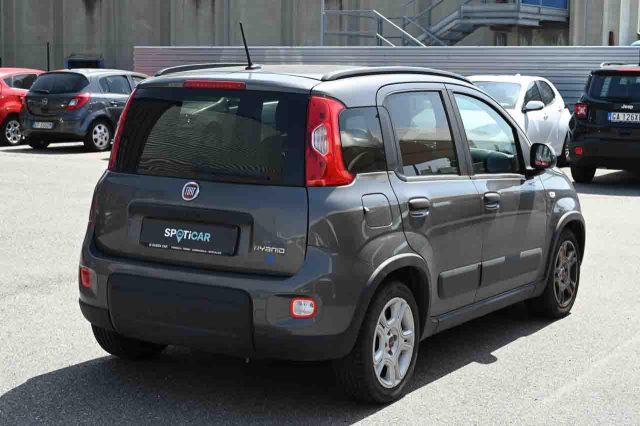 Fiat Panda 1.0 FireFly S&S Hybrid City Life - foto 3 di 4