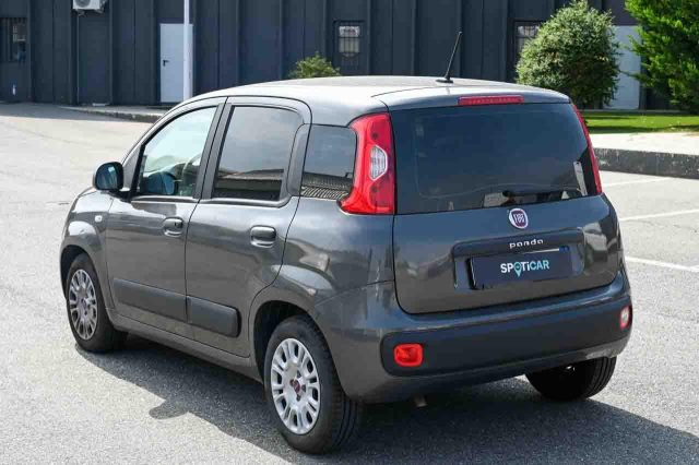 Fiat Panda 1.0 FireFly S&S Hybrid Easy - foto 4 di 4