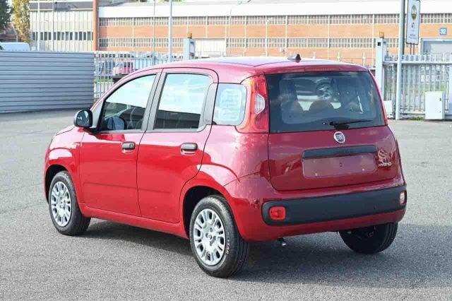 Fiat Panda 1.0 FireFly S&S GPL Icon - foto 4 di 4