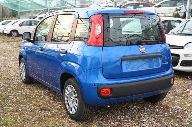 Fiat Panda 1.0 FireFly S&S GPL Pop - foto 4 di 4