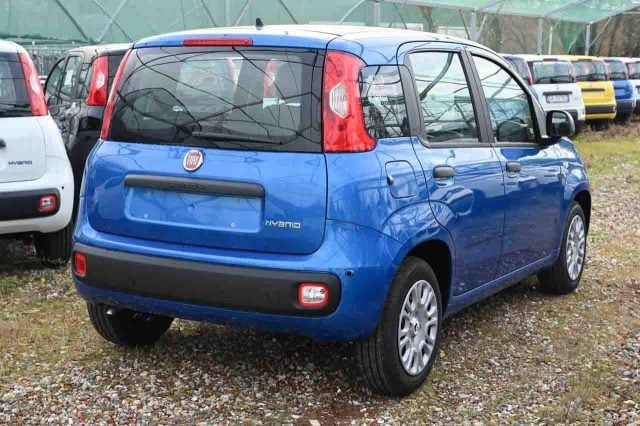 Fiat Panda 1.0 FireFly S&S GPL Pop - foto 3 di 4
