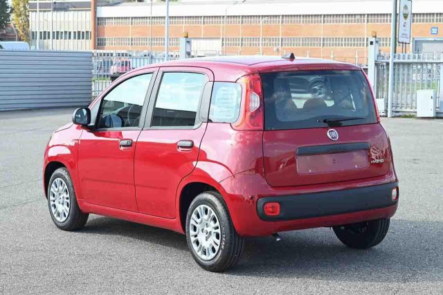 Fiat Panda 1.0 FireFly S&S Hybrid Icon - foto 4 di 4