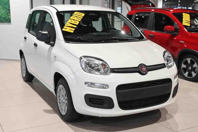 Fiat Panda 1.0 FireFly S&S GPL Icon - foto 2 di 4