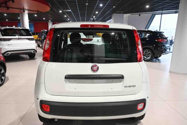 Fiat Panda 1.0 FireFly S&S GPL Icon - foto 4 di 4