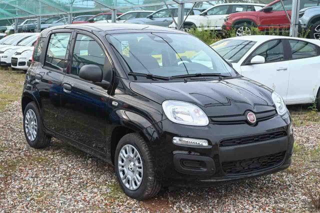 Fiat Panda 1.0 FireFly S&S GPL Pop - foto 2 di 4