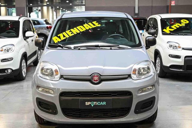 Fiat Panda 1.0 Firefly S&S Hybrid Easy usato a PIANEZZA