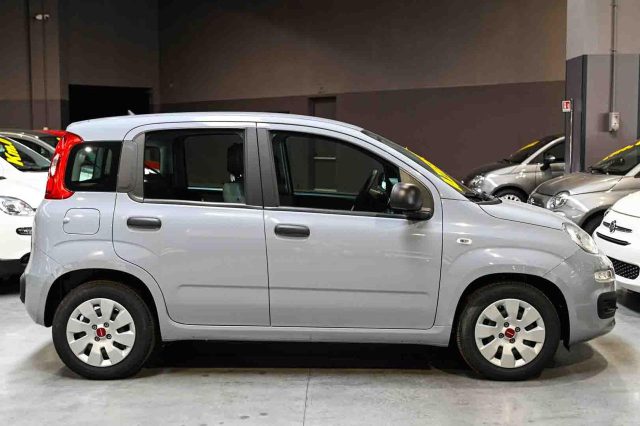 Fiat Panda 1.0 Firefly S&S Hybrid Easy usato a PIANEZZA