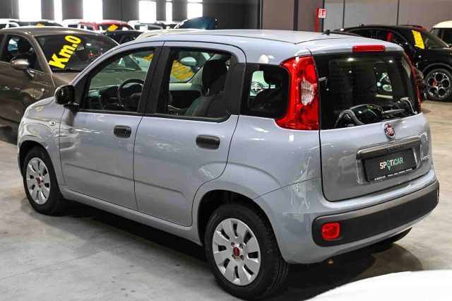 Fiat Panda 1.0 Firefly S&S Hybrid Easy - foto 4 di 4