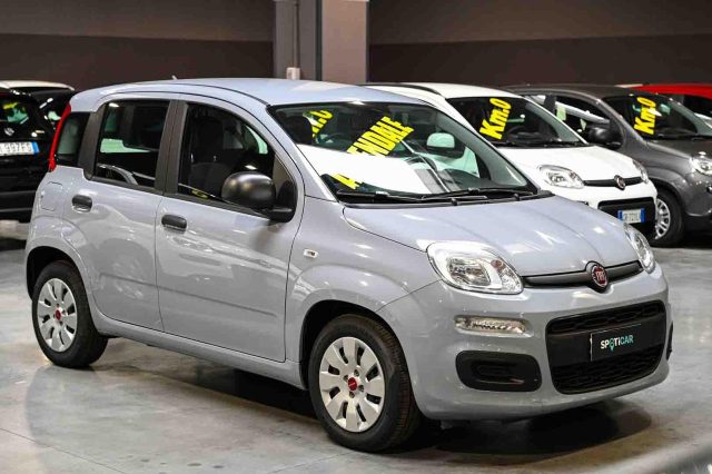 Fiat Panda 1.0 Firefly S&S Hybrid Easy - foto 2 di 4