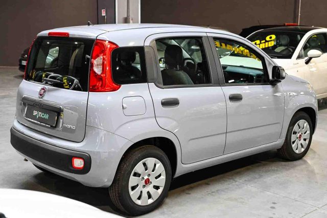 Fiat Panda 1.0 Firefly S&S Hybrid Easy - foto 3 di 4