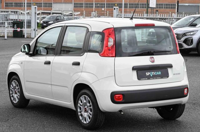 Fiat Panda 1.0 FireFly S&S Hybrid - foto 4 di 4