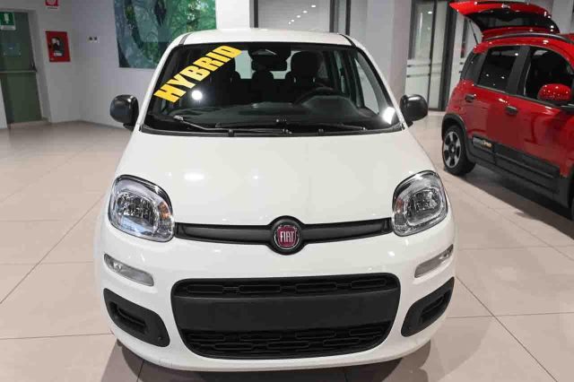 Fiat Panda 1.0 FireFly S&S Hybrid Icon km 0 a PIANEZZA