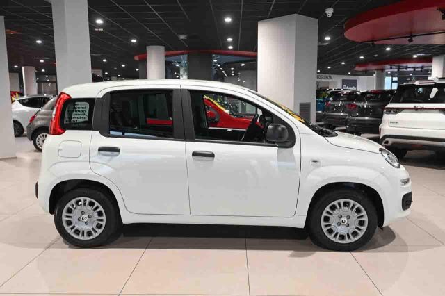 Fiat Panda 1.0 FireFly S&S Hybrid Icon - foto 4 di 4