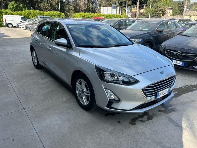 Ford Focus 1.5 EcoBlue 120 CV 5p. Business - foto 3 di 4