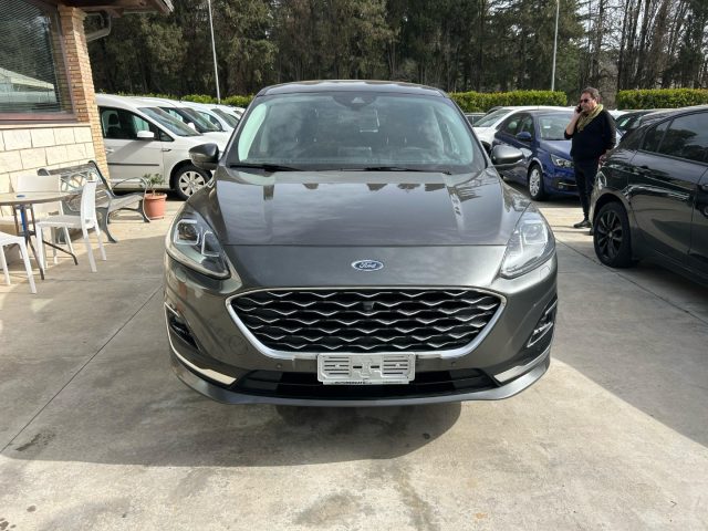 Ford Kuga 2.0 190 CV aut. AWD Vignale usato a CALTAGIRONE
