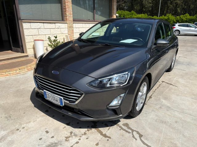 Ford Focus 1.5 EcoBlue 120 CV 5p. Business usato a CALTAGIRONE