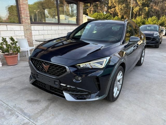 CUPRA Formentor 2.0 TDI usato a CALTAGIRONE