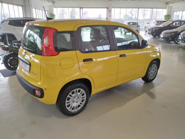 Fiat Panda 1.0 FireFly S&S Hybrid MY25 - foto 4 di 4
